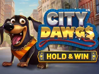 City Dawgs - Hold & Win icon